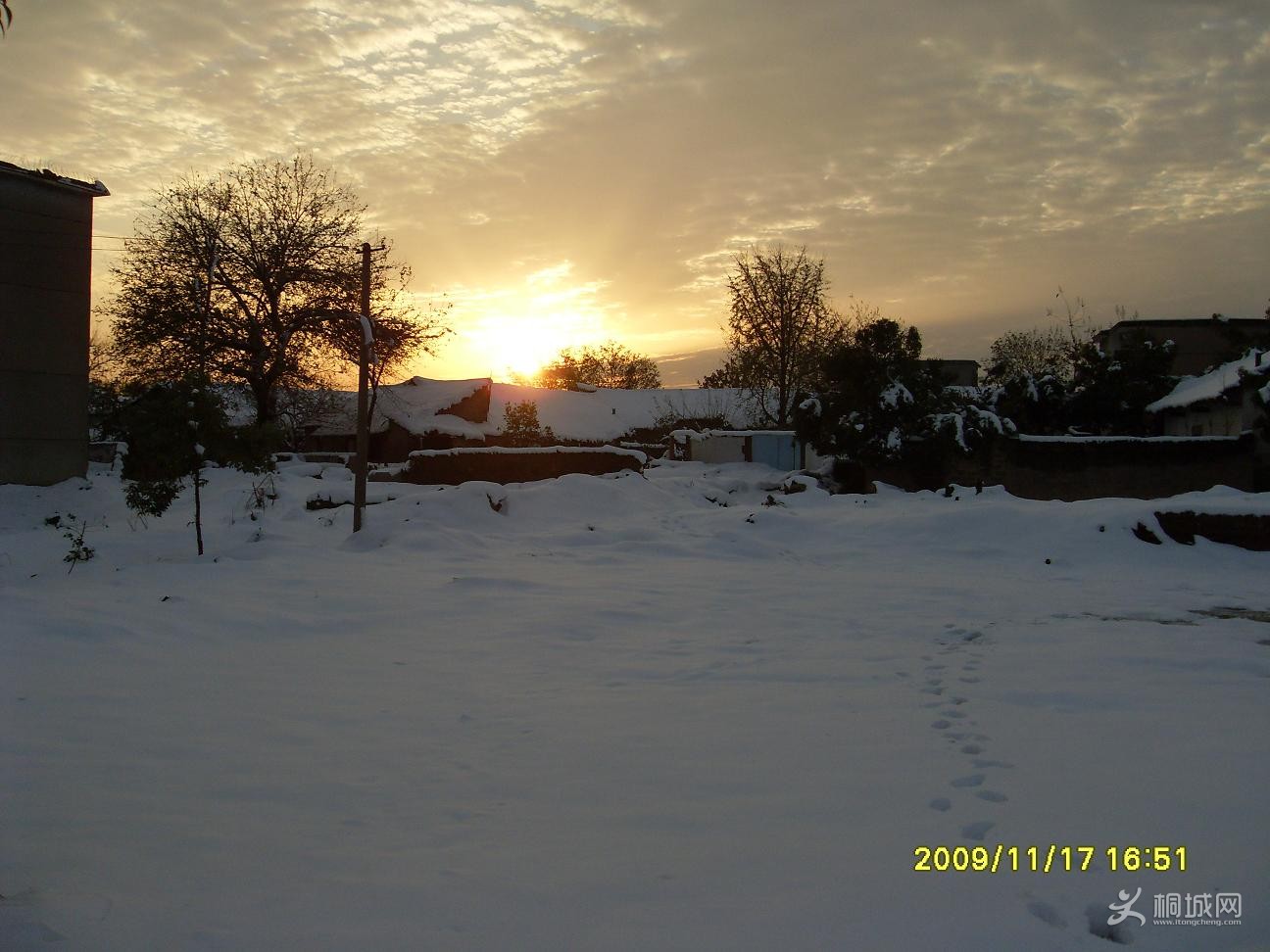 SDC11883.JPG