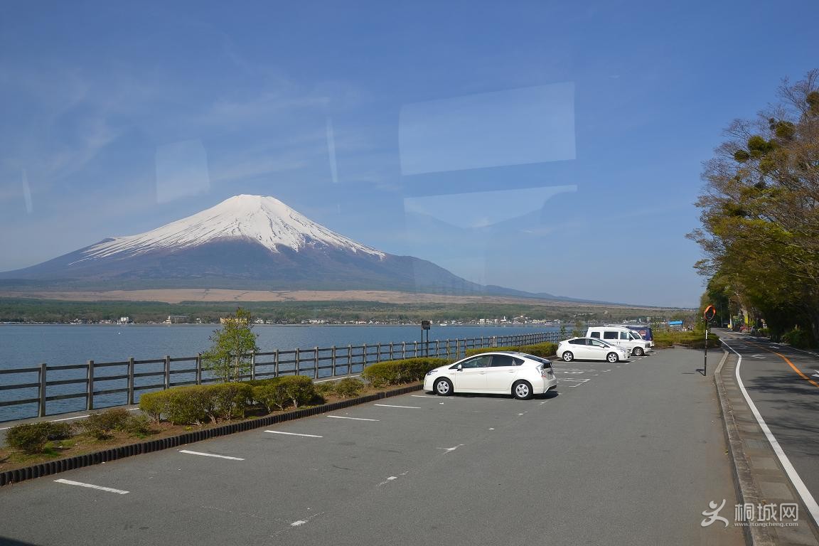 DSC_0290.JPG
