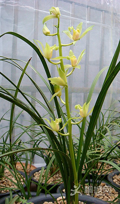 DSC06797__.jpg