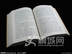 8b3b47bdb28f286a.jpg