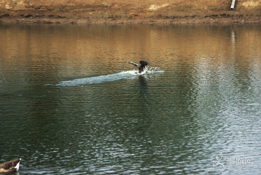 DSC04707.jpg