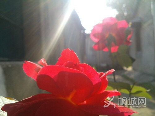 IMG20130427162931.jpg