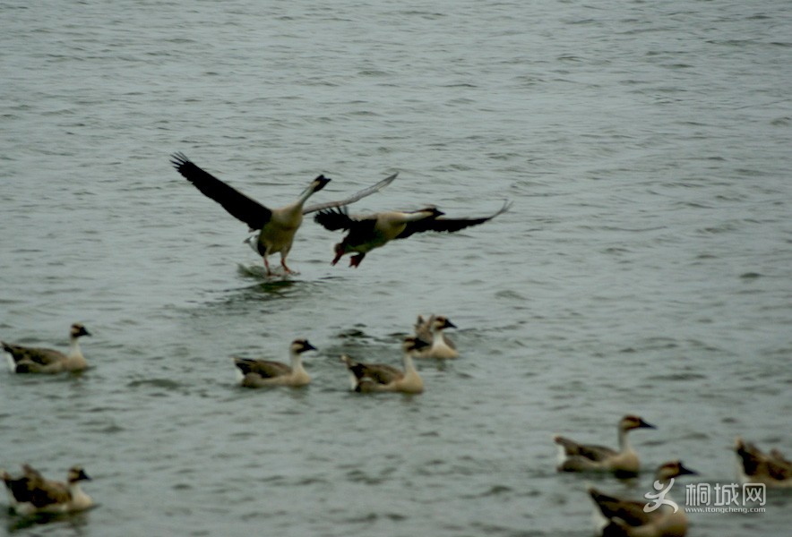 DSC05216.jpg