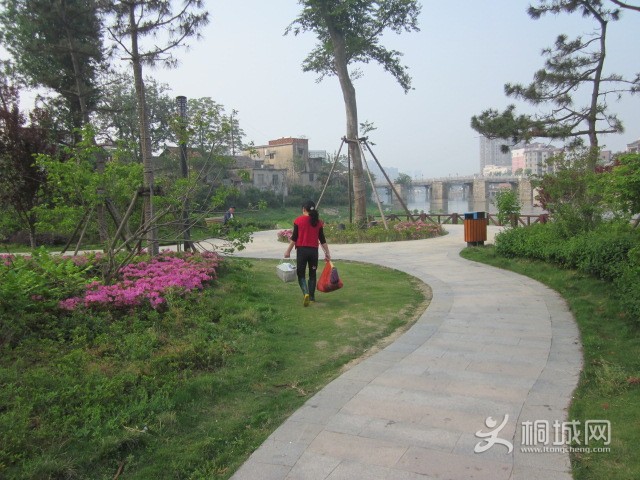 IMG_3692.JPG