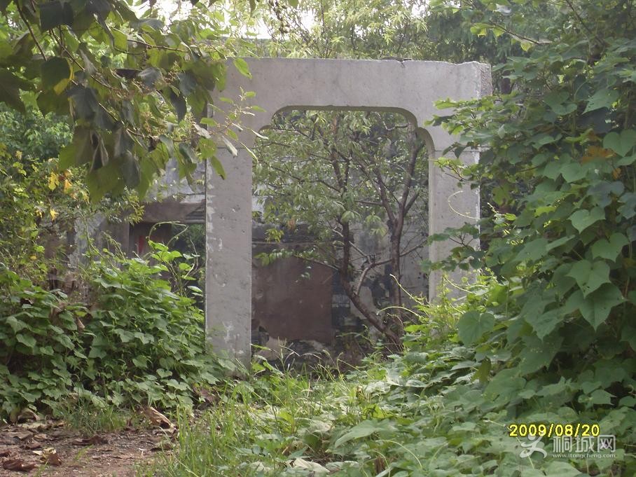 SDC11415.JPG