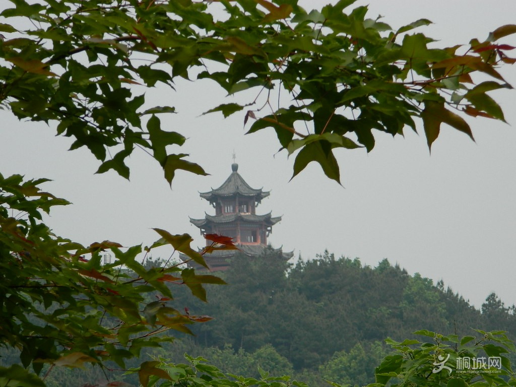 DSCN0736.JPG