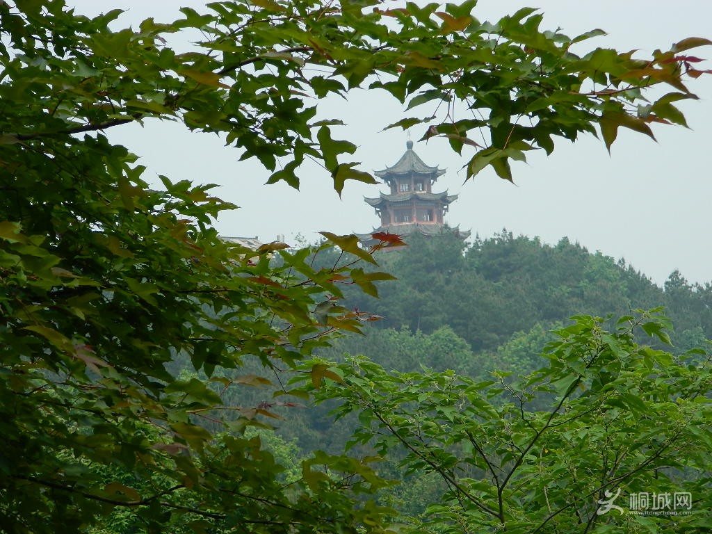 DSCN0737.JPG