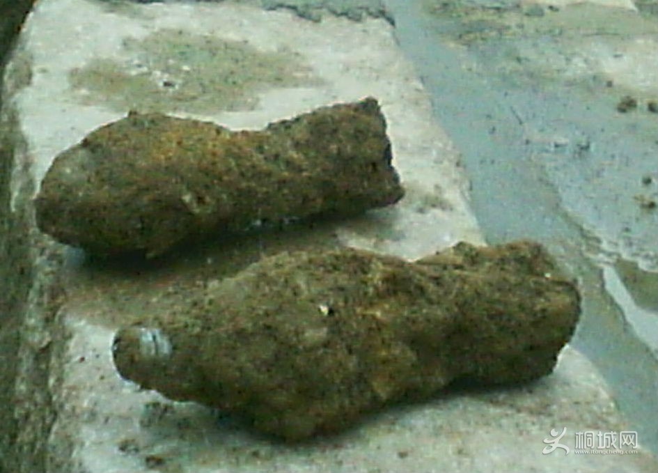 IMG00060.jpg