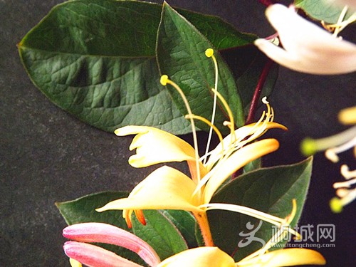 DSCF2444_.jpg