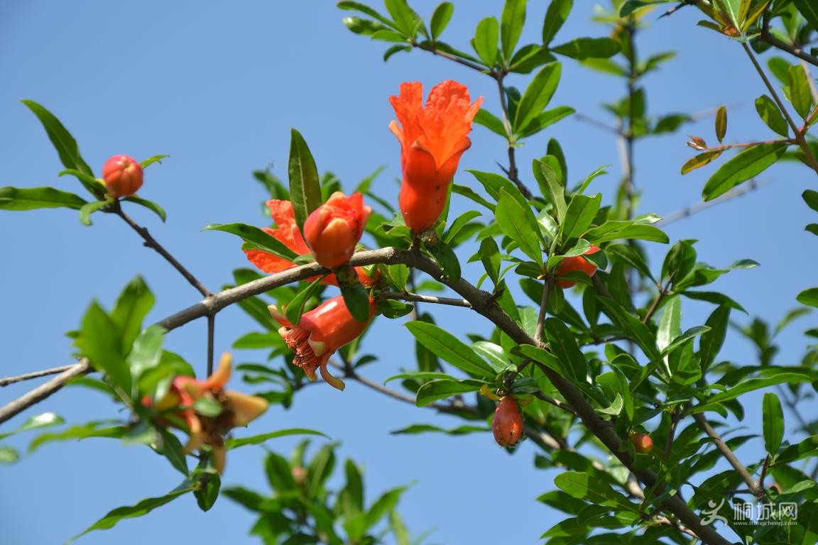 DSC_0794.JPG