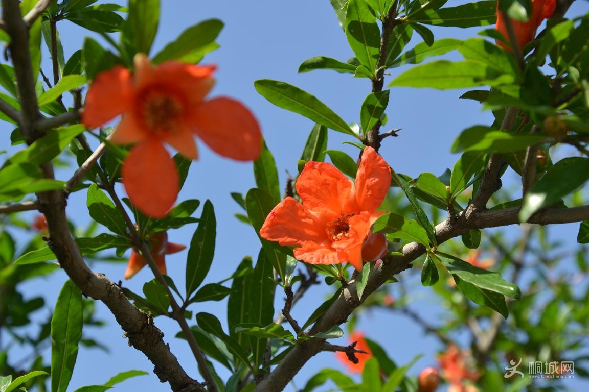 DSC_0790.JPG