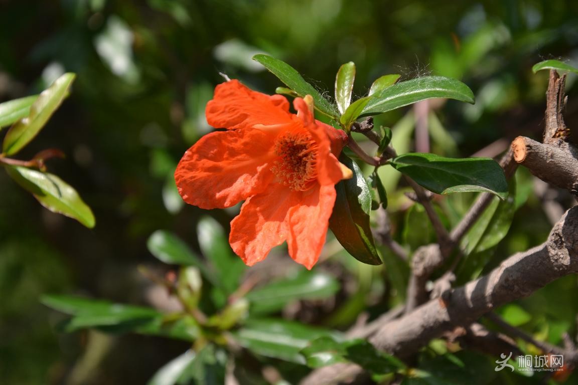 DSC_0789.JPG