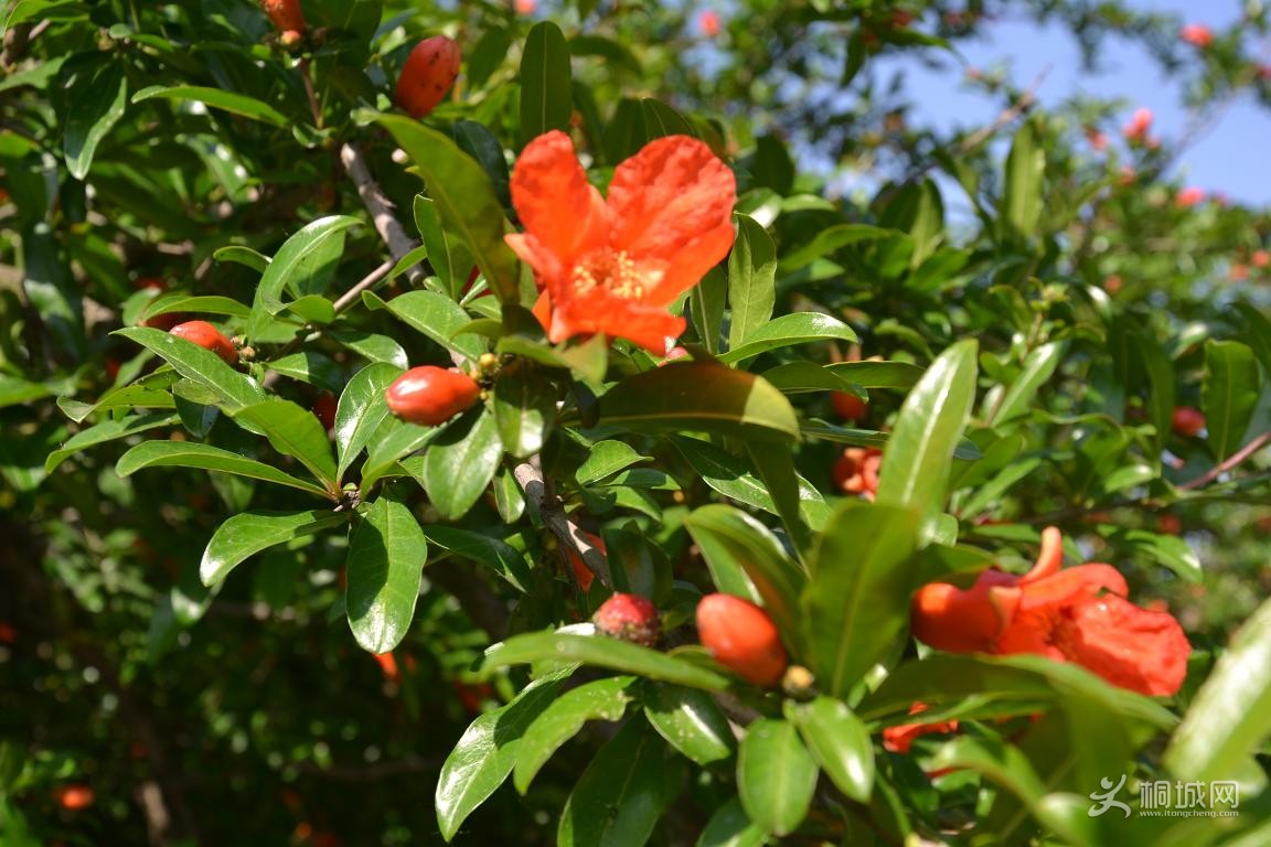 DSC_0788.JPG