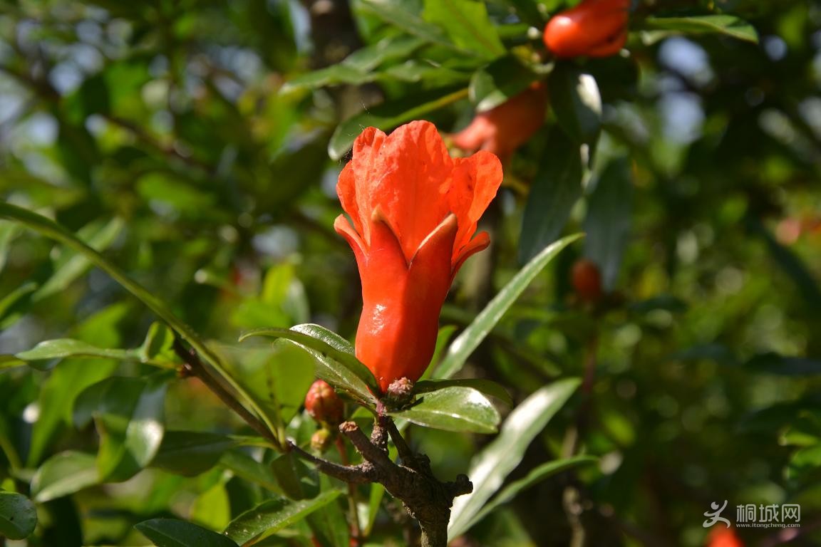 DSC_0793.JPG