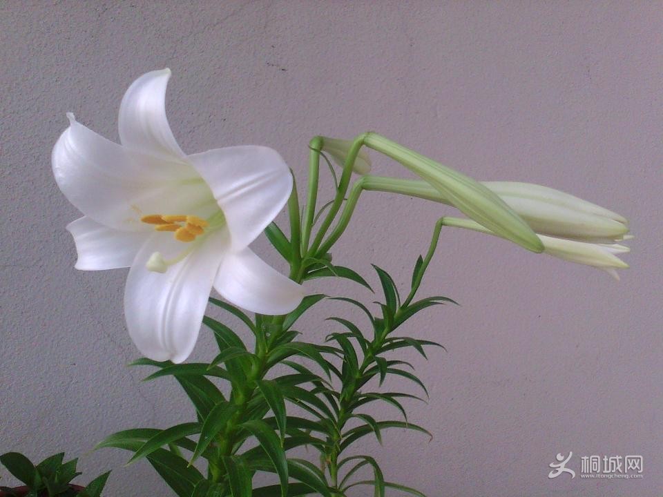 IMG_20130519_074846177.jpg
