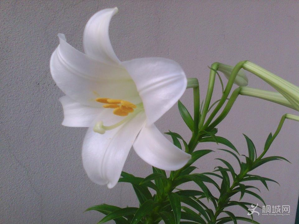 IMG_20130519_075038598.jpg