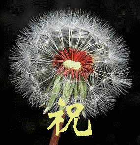 http_imgload.gif