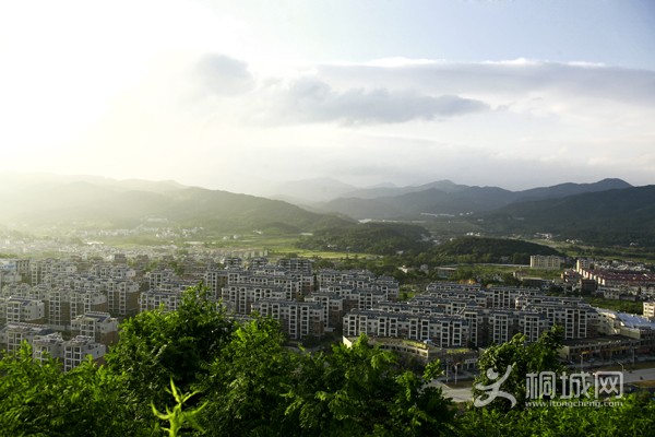 IMG_89092.jpg