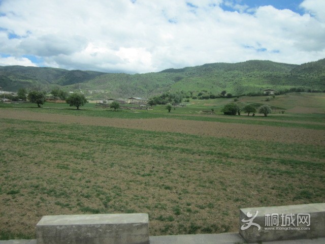 169.JPG