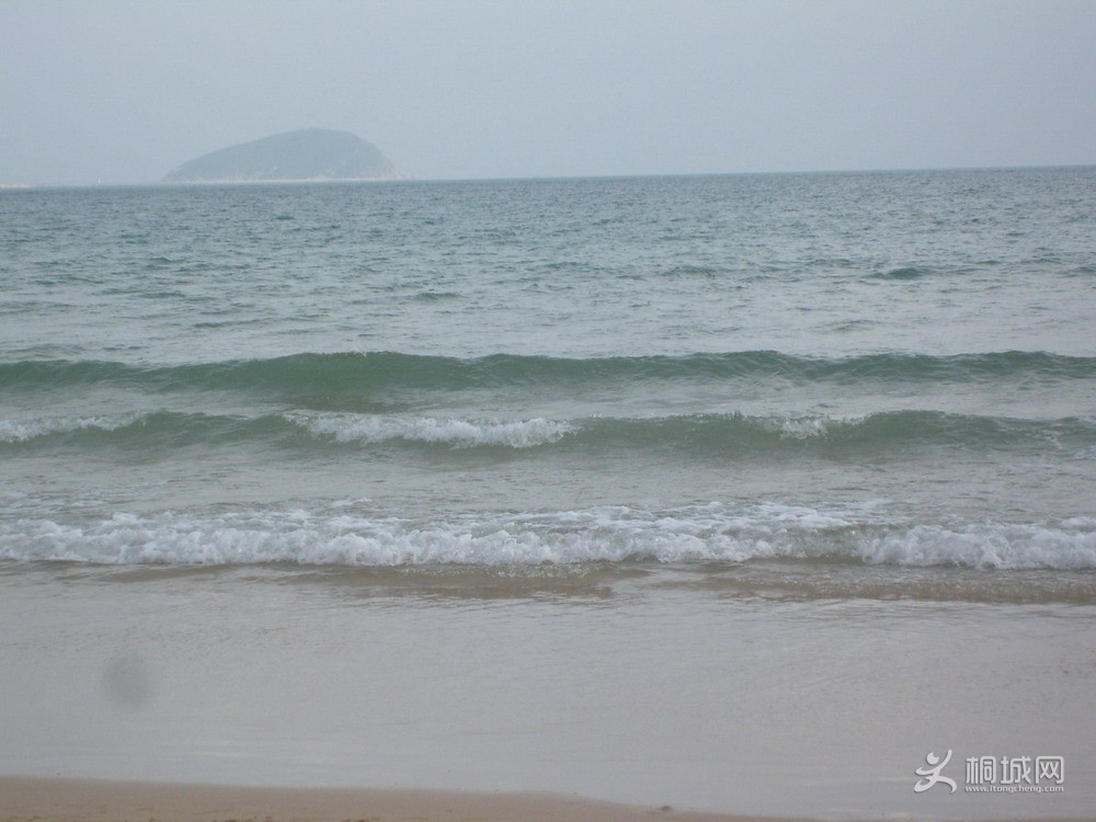 S7302529.jpg