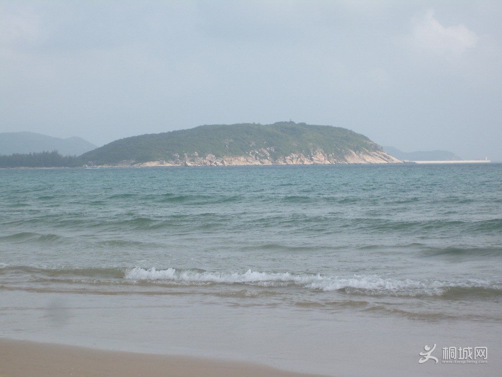 S7302532.jpg