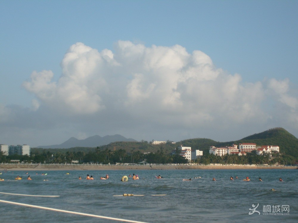 S7302657.jpg