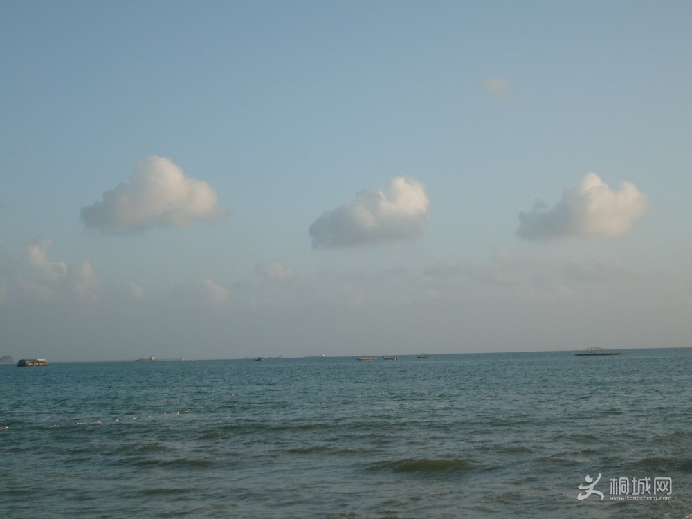 S7302669.jpg