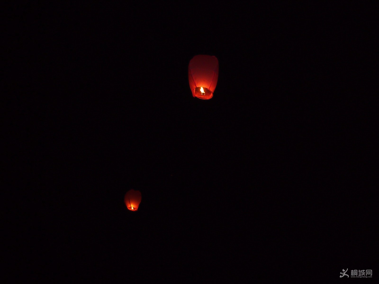 P1010753.jpg