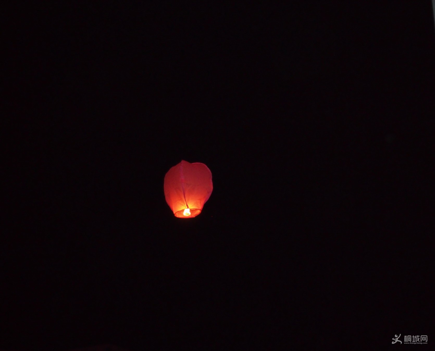 P1010750.jpg
