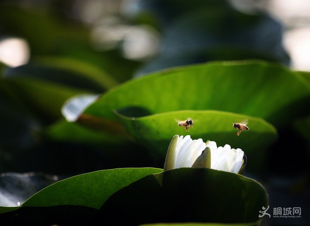 20130603211633.jpg