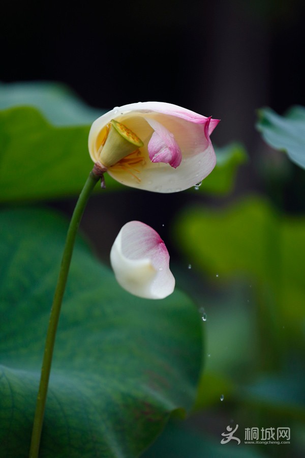 20130344.jpg