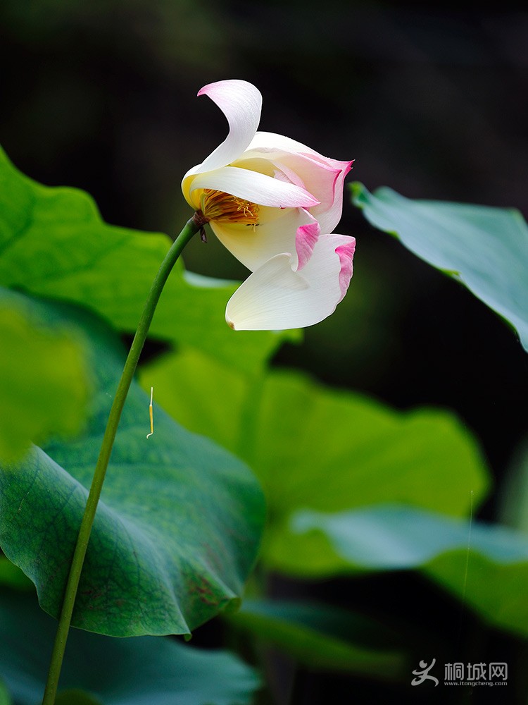 20130031-1.jpg