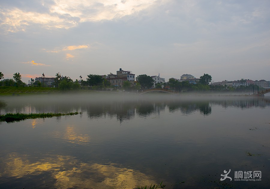 _DSC8638.jpg