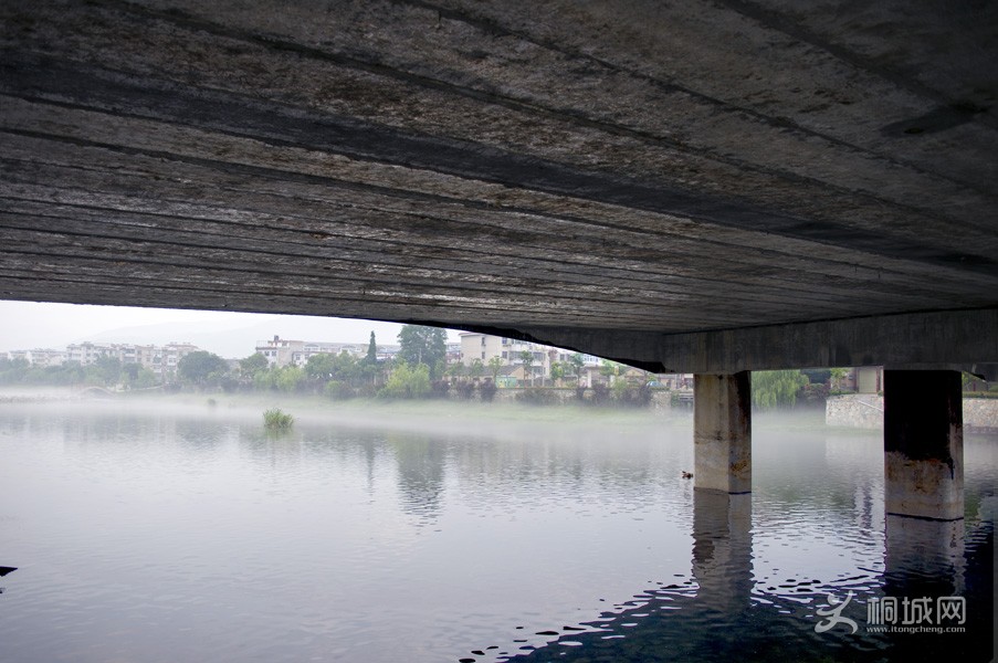 _DSC8656.jpg