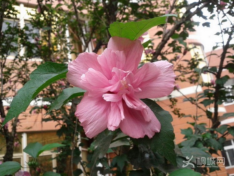 20130620_123809.jpg