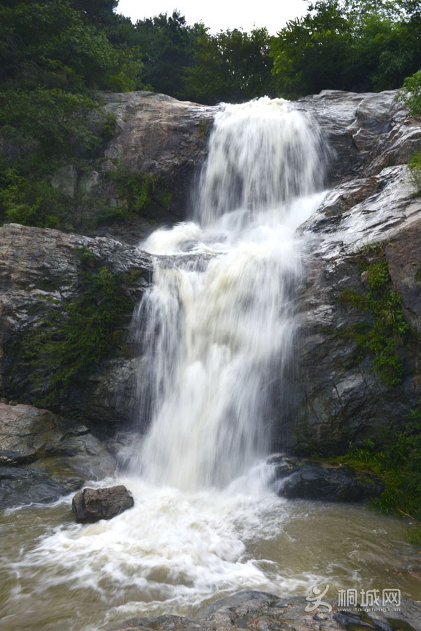 _DSC8907.jpg