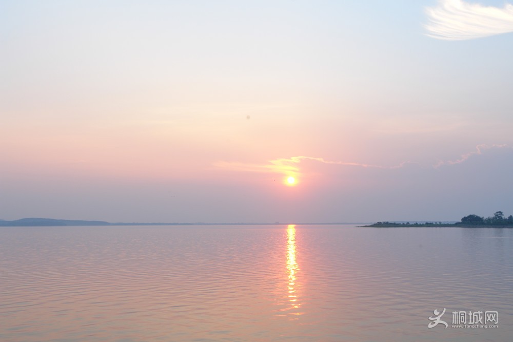 DSC003.jpg