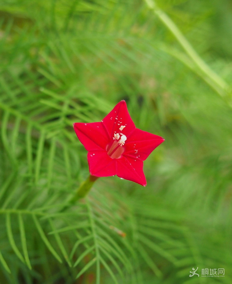 P7146119-1.jpg