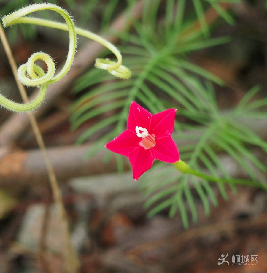 P7146112-1.jpg