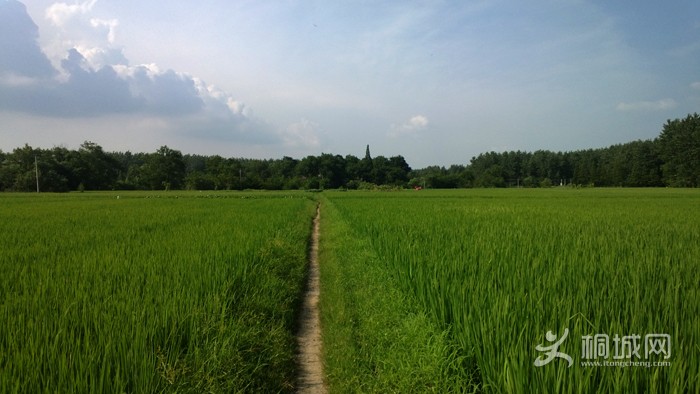 WP_20130717_001.jpg