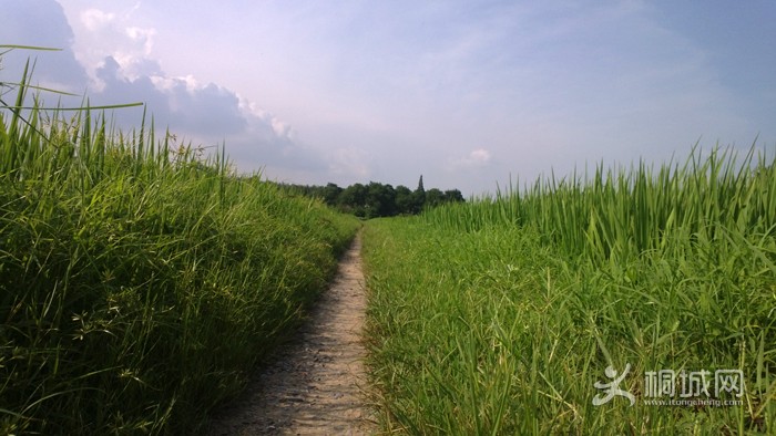 WP_20130717_002.jpg