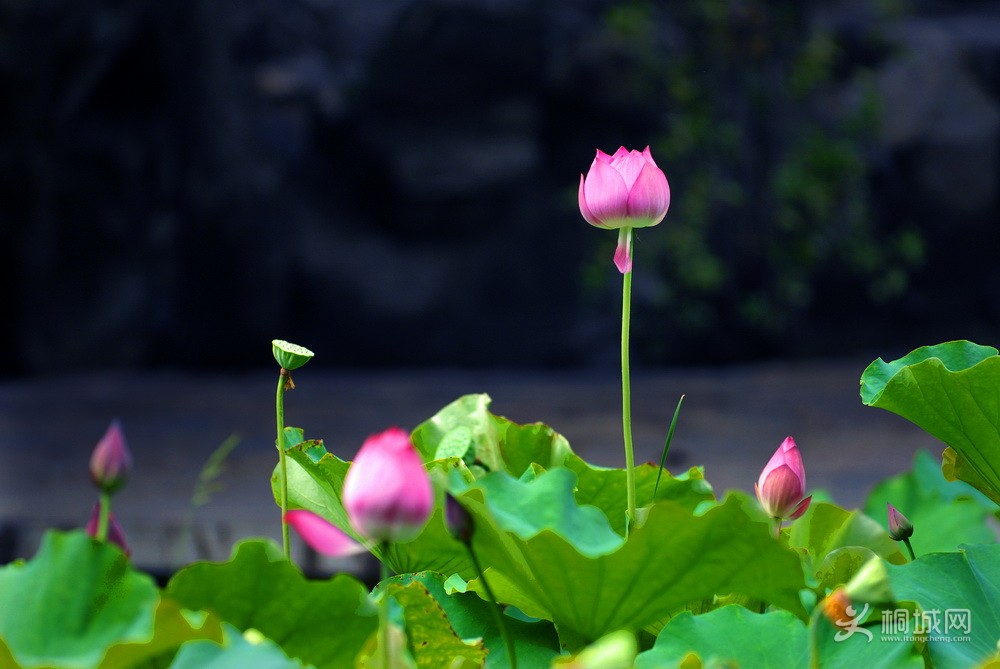 ȦF2.8 1/800 35 ISO320