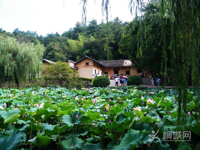 DSCF4863.JPG