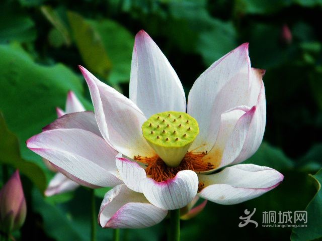 DSCF4877.JPG