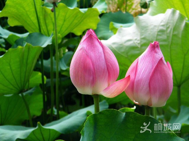 DSCF4893.JPG