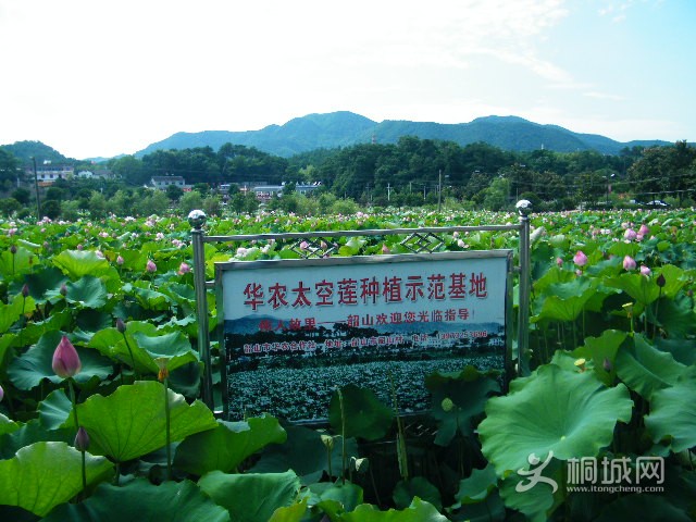 DSCF4892.JPG