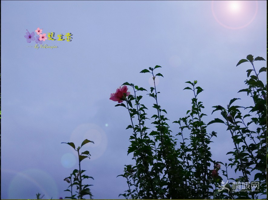 ˫.jpg