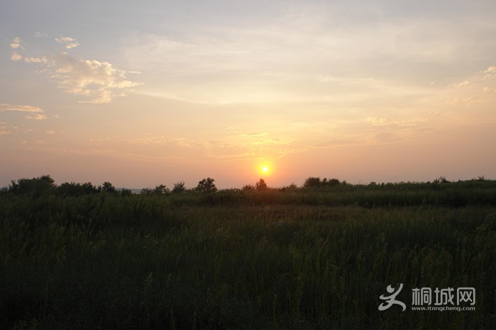 DSC00483_.jpg