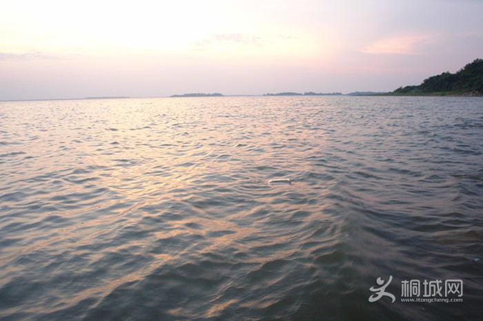 DSC00529_.jpg