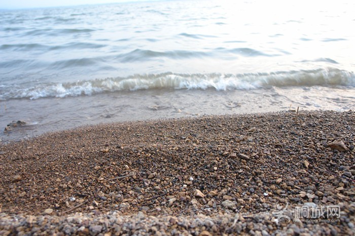DSC00524_.jpg